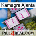 Kamagra Ajanta 33
